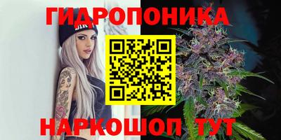 дурь Краснознаменск