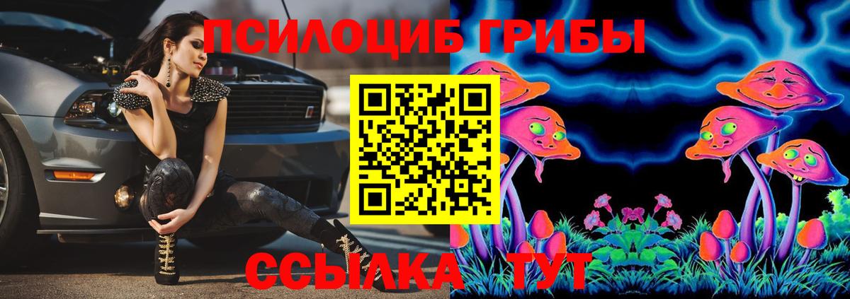 Галлюциногенные грибы Psilocybe Электрогорск